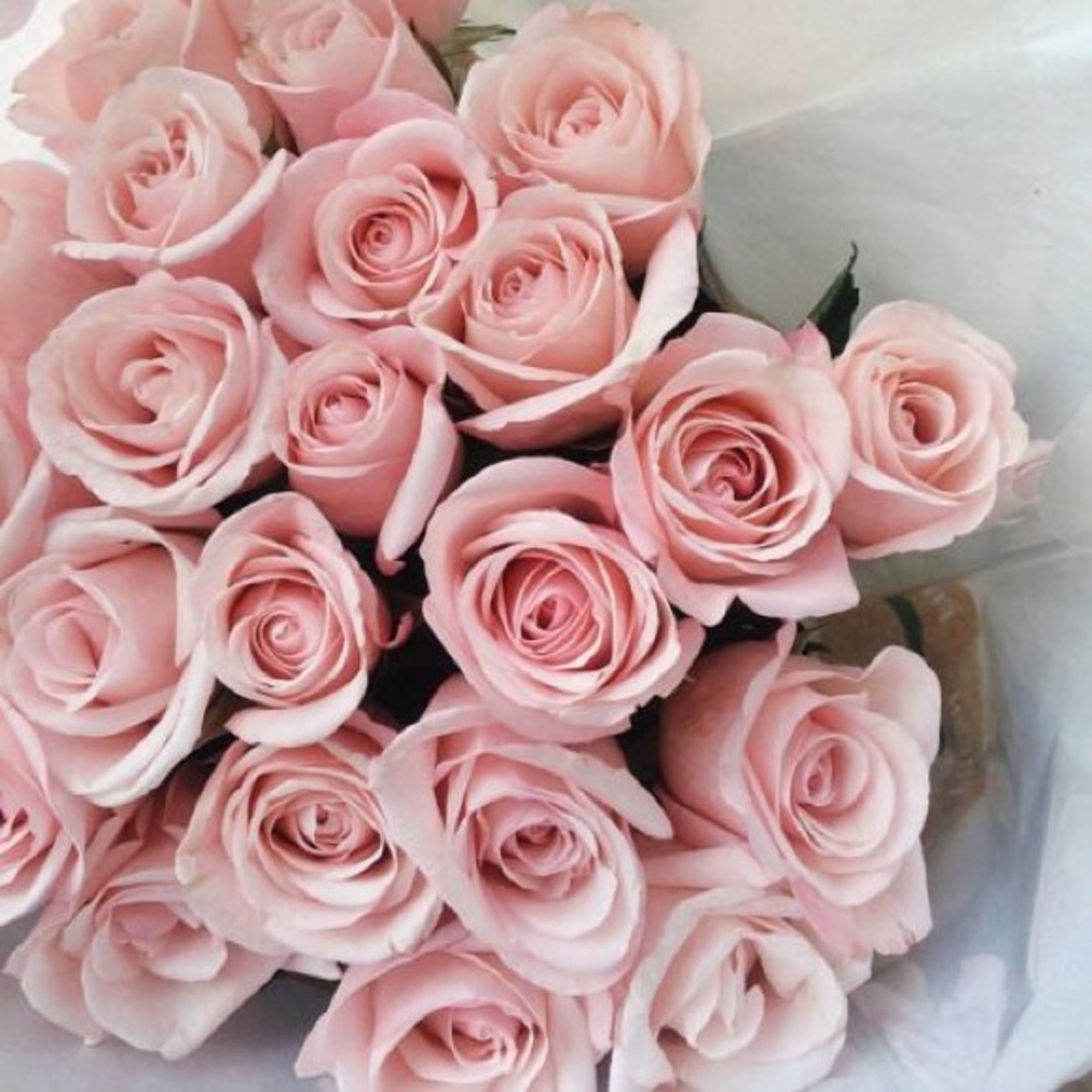🌸 ALL REASONABLE OFFERS ACCEPTED 🌸